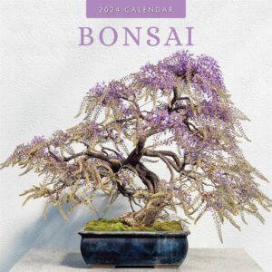 Bonsai Calendar 2024