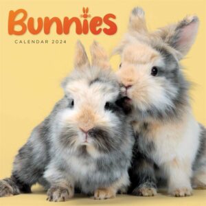 Bunnies Mini Calendar 2024