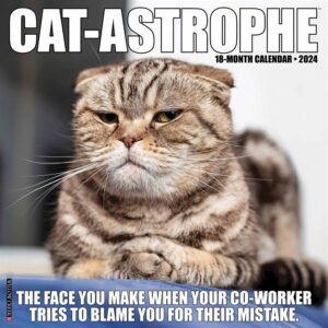 Cat-astrophe Calendar 2024