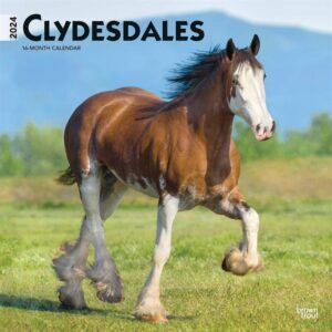 Clydesdales Calendar 2024