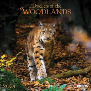 Dwellers Of The Woodlands Calendar 2024