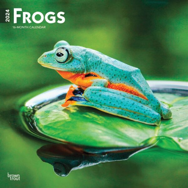 Frogs Calendar 2024