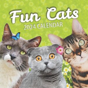 Fun Cats Calendar 2024