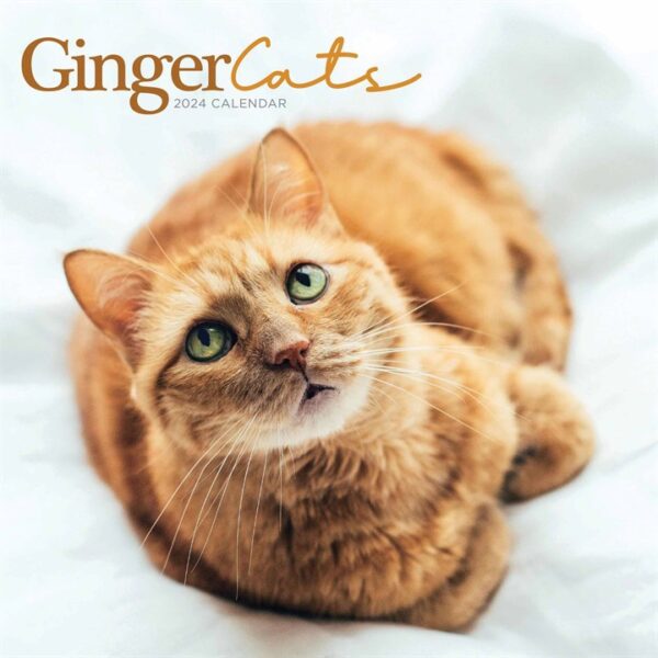 Ginger Cats Calendar 2024