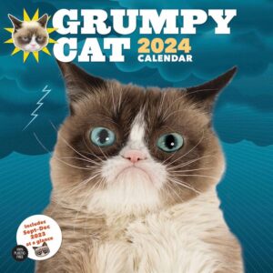 Grumpy Cat Calendar 2024