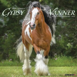 Gypsy Vanner Horse Calendar 2024