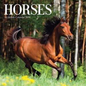 Horses Mini Calendar 2024