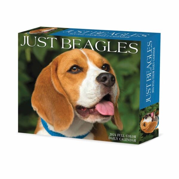 Just Beagles Desk Calendar 2024