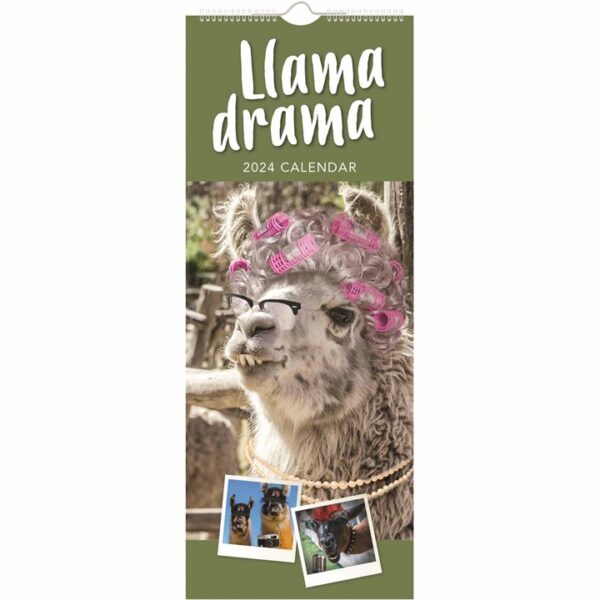 Llama Drama Slim Calendar 2024