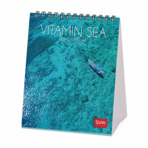 Vitamin Sea Easel Desk Calendar 2024