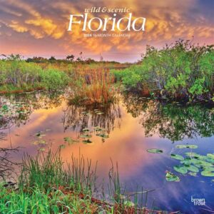 Wild & Scenic Florida Calendar 2024